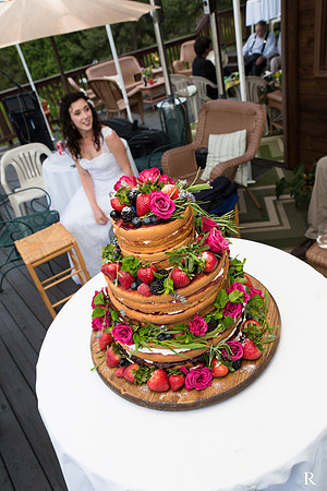 Colorado Wedding - Roger Williams Photographer